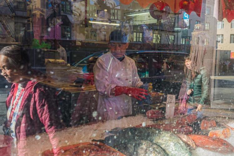 JacobusCa-Rumination-Chinatown-Fish-Market_Photo_18x24