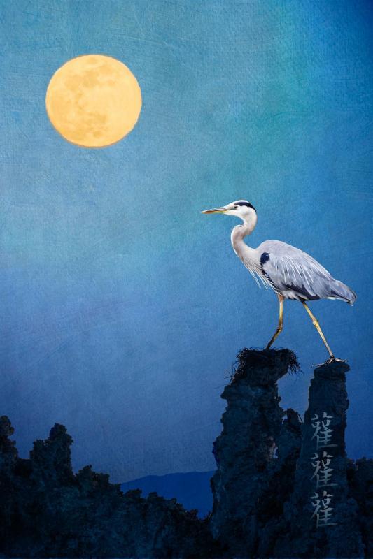 AllenRo-Step-By-Step_PhotoArt_24x16