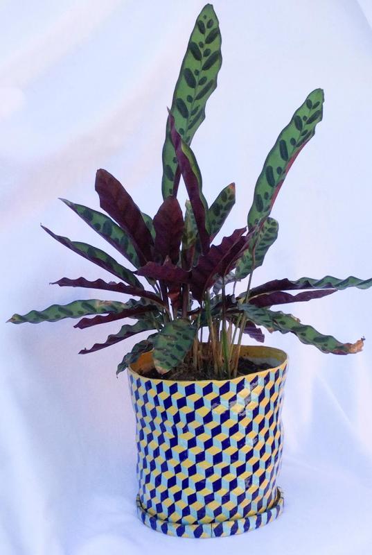 SeidenbergAr-WhichWayIsUp_Ceramic_8x8
