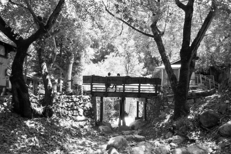 Lubanski-WengerBa-On-the-Bridge-at-Tassajara_Photo_13x16