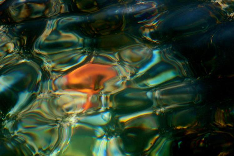 HoefgenJi-Water-with-Orange_1
