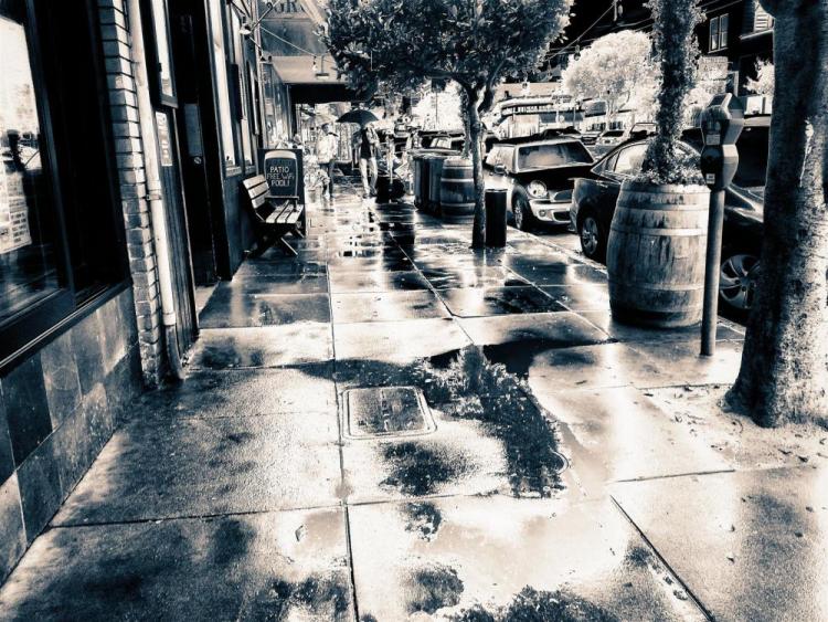 PittPa-Dreaming-that-the-Rain-Washes-Away-the-Virus-from-Irving-Avenue_PhotoArt_16x20
