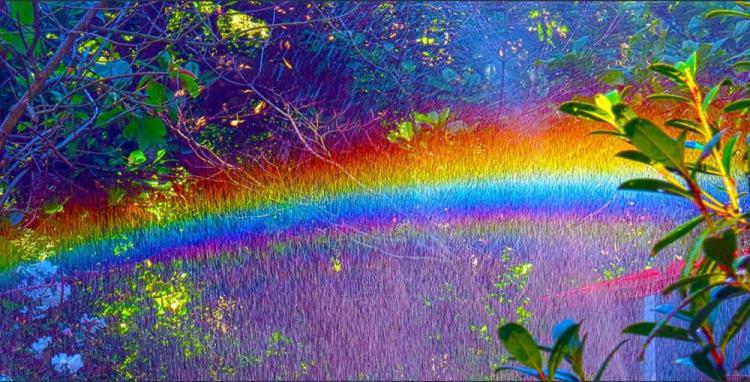 LandisBa-Rainbow-Sprinkler_Photo_8x16