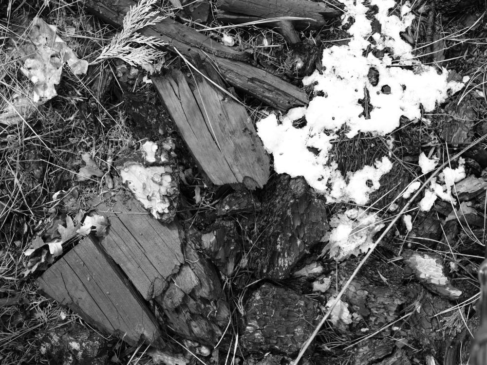 dellaGiordanoRo-Snow-and-Stuff_Photo_20x24x1