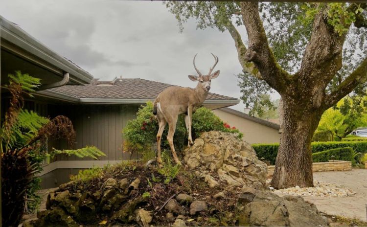 BassSt-The-Buck-Stops-Here_Photo_18x22
