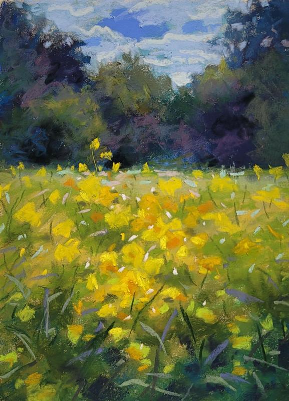 LoSa-Yellow-flower-field-220730114725_1