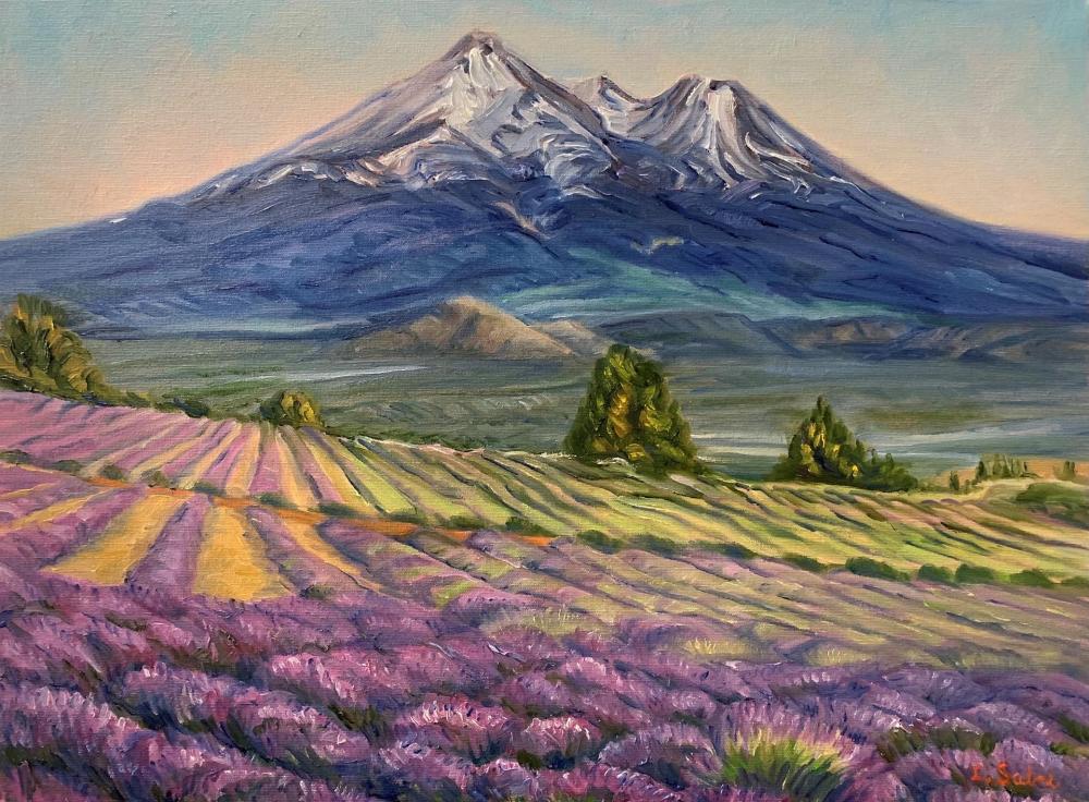 SabreIr-Mount-Shasta-Lavender-220720170241_1