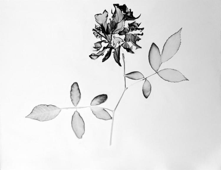 CainDe-Floral-Dream-220730231950_1