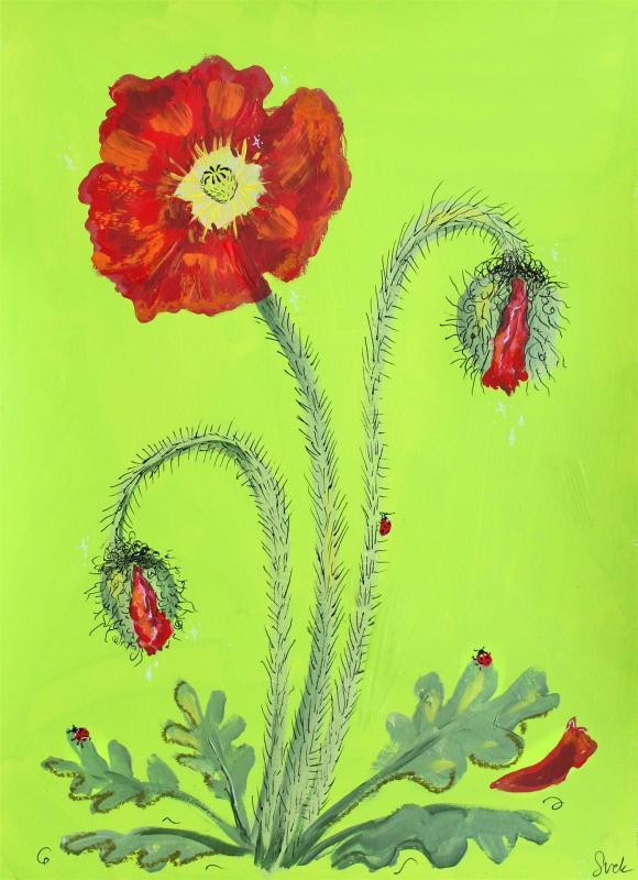 CorsonSe-Poppies-1-220721113239_1