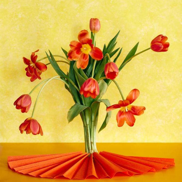 PfeifferDe-Still-Life-With-Tulips-220728163002_1