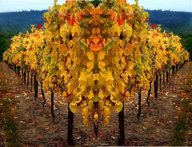 VanZandtVi-Lion-in-the-Vines-220728143830_1