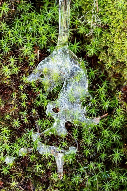 GardnerDa-Frozen-Seep-Sauk-Mountain-WA-2018-230623150438_1