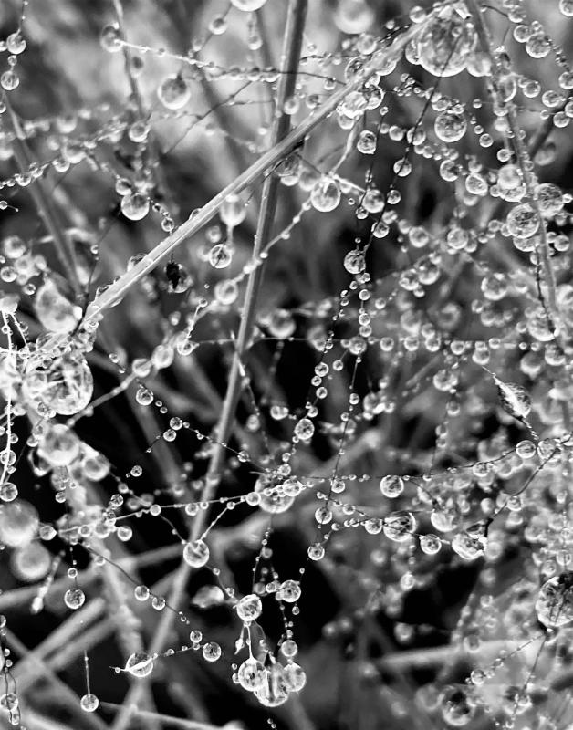 HoefgenJi-Composition-in-Raindrops-Photo_16x20