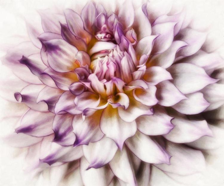 BorrelliPa-Blooming-DigArt_20x24