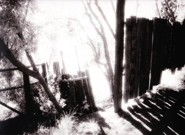 PittPa-Light-and-Shadow-230423211935_1