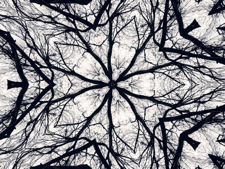 PittPa-Mandala-Tree-230423212036_1