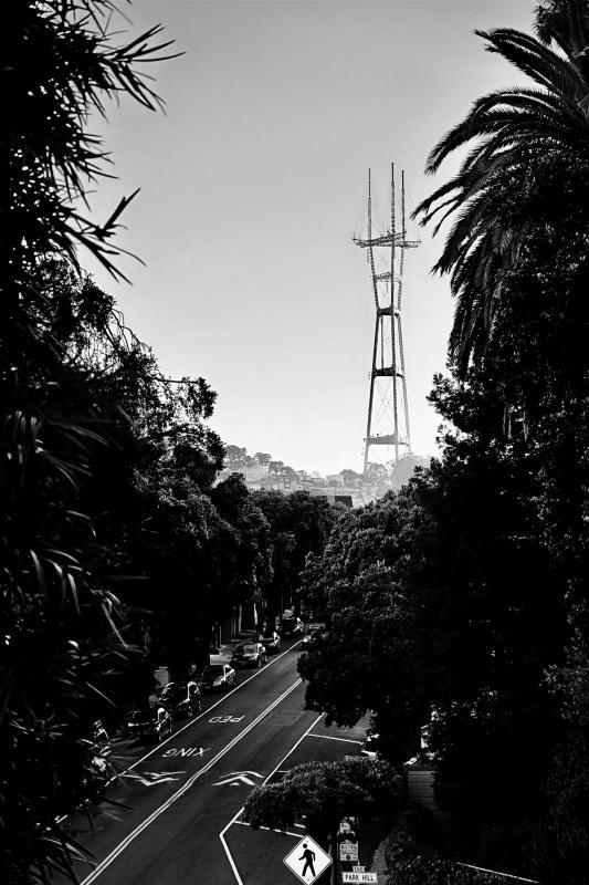 TrueLi-Sutro-Tower-in-the-Urban-Jungle-230729210040_1