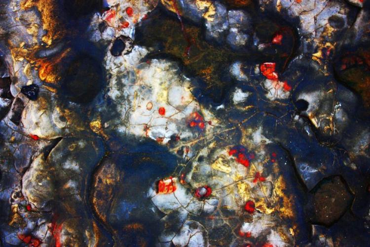 VanZandtVi-Tidepool-240706140727_1