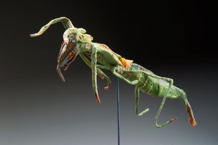BorgattaFr-Grasshopper-240203112648_1