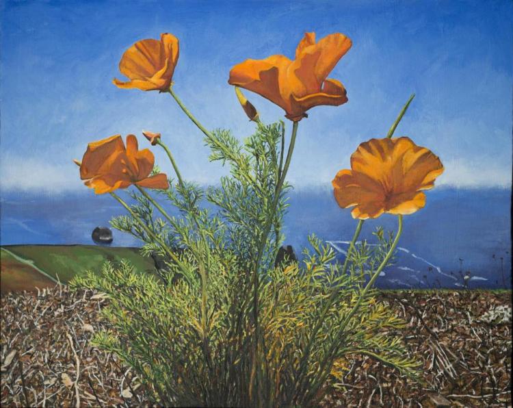 SullivanMa-Poppies-Blue-240201095500_1