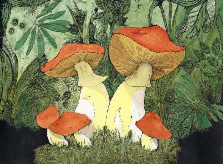 vankampensa-Mushrooms-240123110236_1