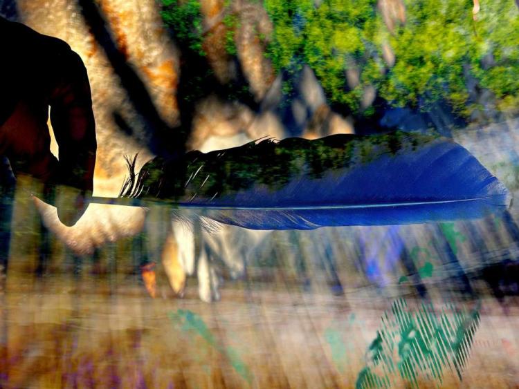 CainDe-Magic-is-Everywhere-240802234443_1