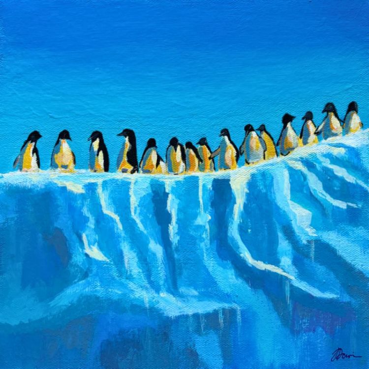 Summer Solstice Antarctica - 1