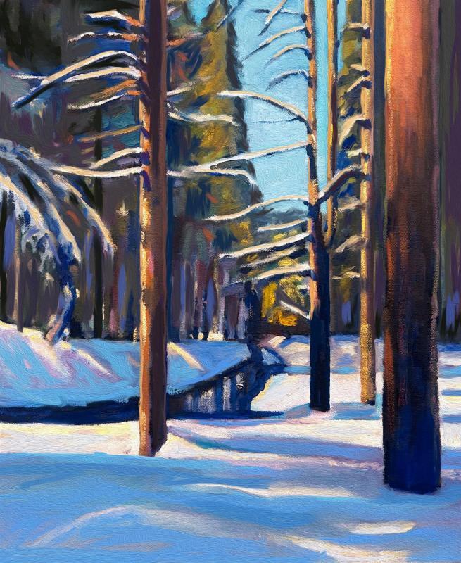 MartinRa-Winter-in-Tahoe-National-Forest-251101103000_1