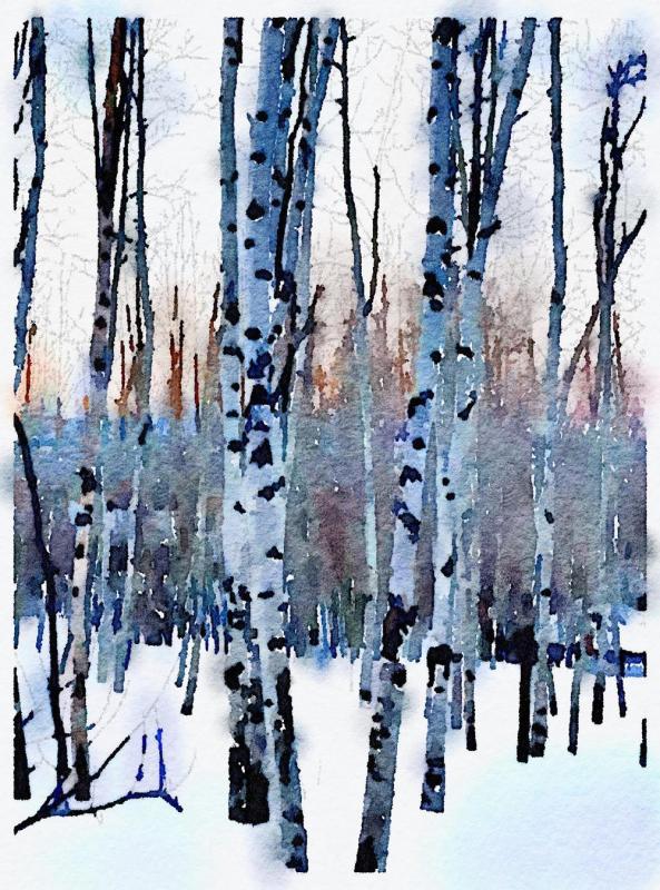 SweetserSt-Aspen-3-251028162444_1