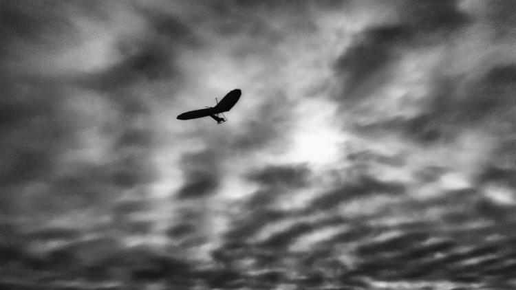 VanZandtVi-Hang-Glider-in-Grey-Sky-250531163333_1