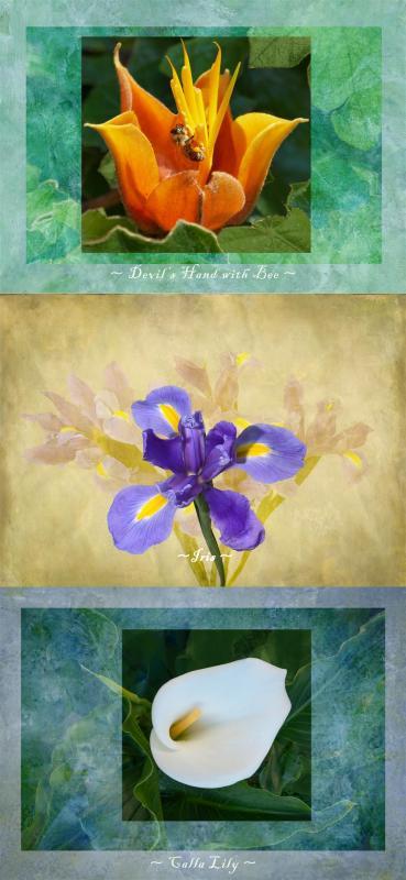 AllenRo-Floral-Fantasy-250405132932_1