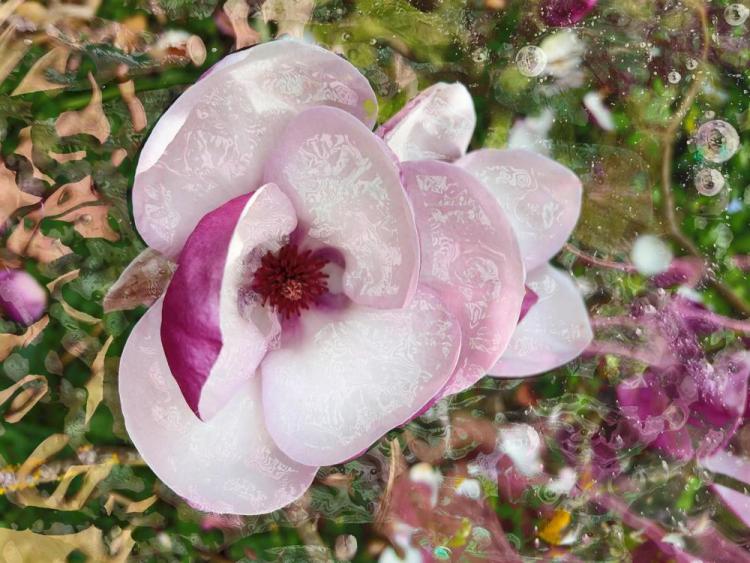 CainDe-Floral-Fantasy-No-712-250405163839_1