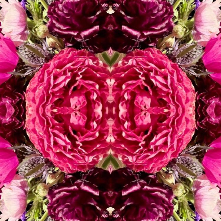 KirshenbaumSu-Poetry-of-Pink-250330115152_1