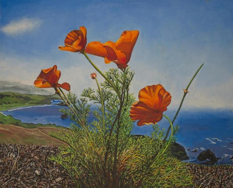 SullivanMa-Poppies-Yellow-250905134803_1