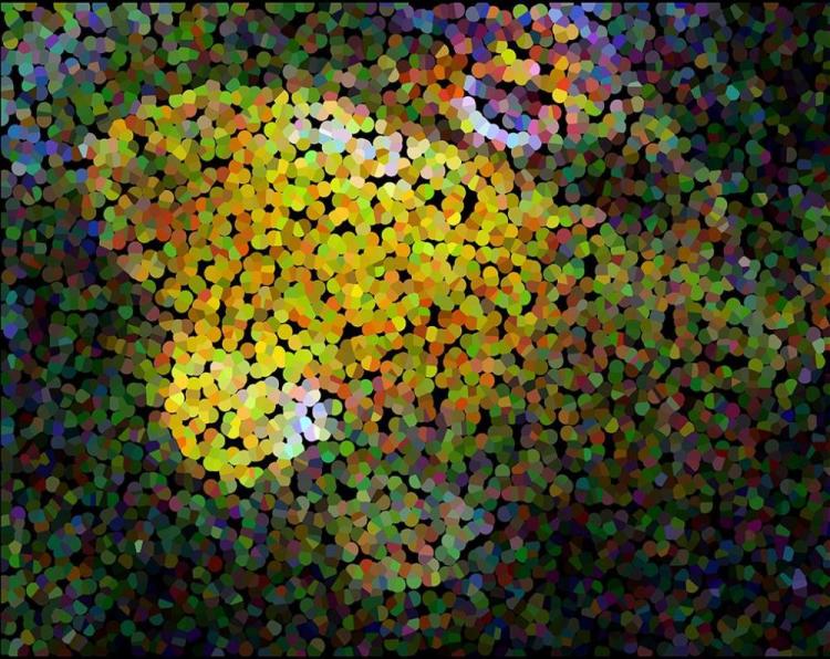 LandisBa-Fise-duet-abstract-260103111824_1