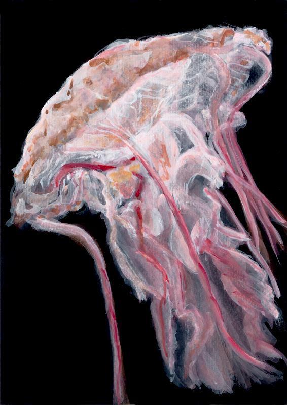 Lubanski-WengerBa-Pink-Jellyfish-260420141611_1