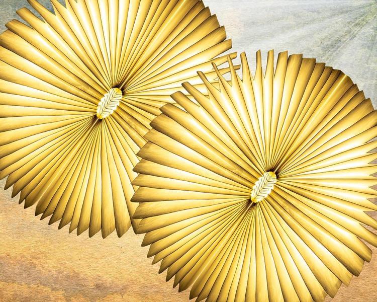 AllenRo-Fan-Dance-260328210400_1