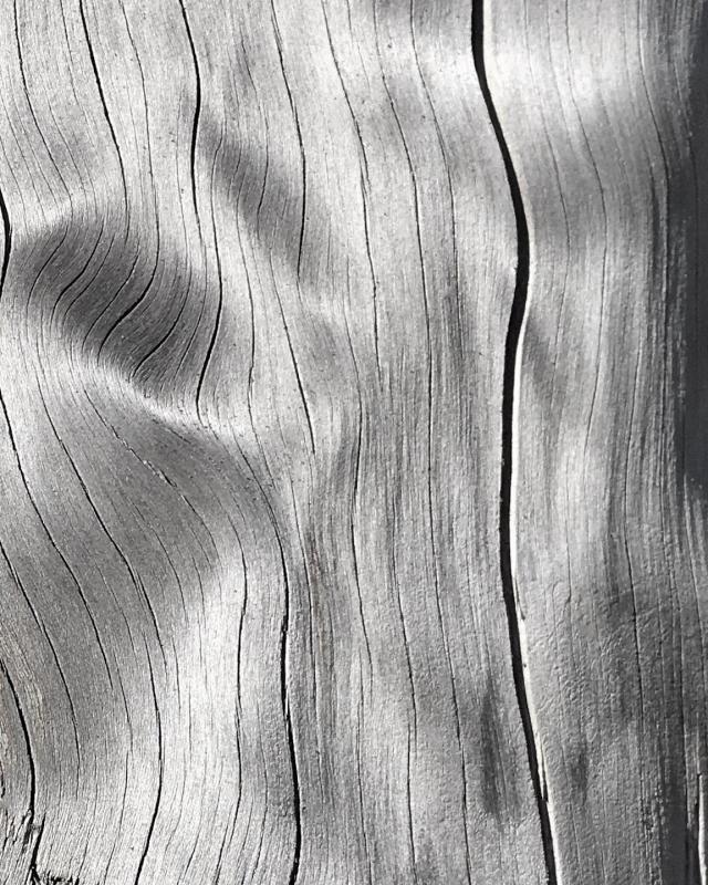 MarkBa-Lines-Collection-No1-260326172516_1