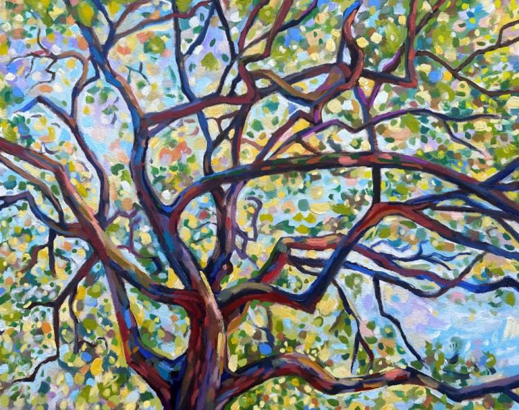 MartinRa-Tree-in-Sunlight-260401165911_1