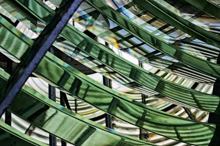 VanZandtVi-Lighthouse-260317132345_1