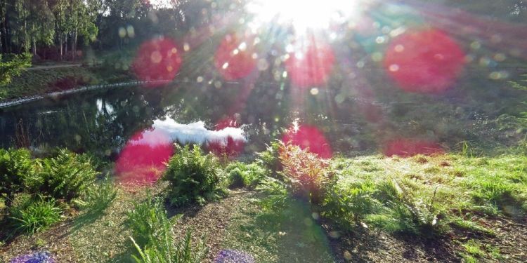 LandisBa-Sunlight-261002090149_f4456121f4b648f4aab90cbfbf129b01