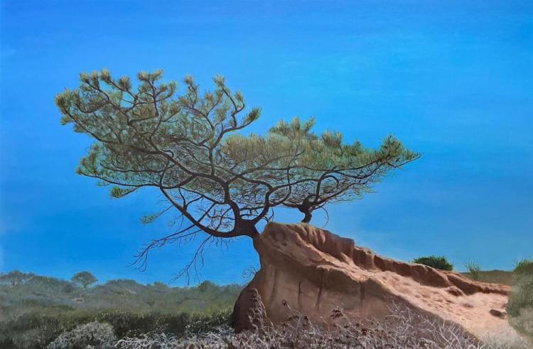 FOBESCL-Torrey-Pines-260226210011_1