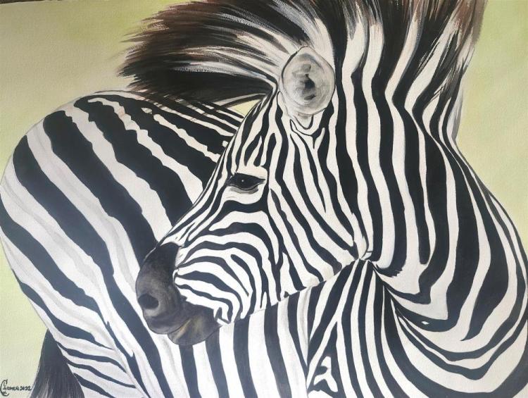 LaxCa-My-Zebra-260228113340_1