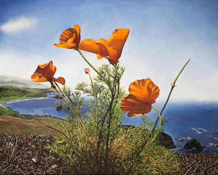 SullivanMa-Poppies-Yellow-260223134028_1