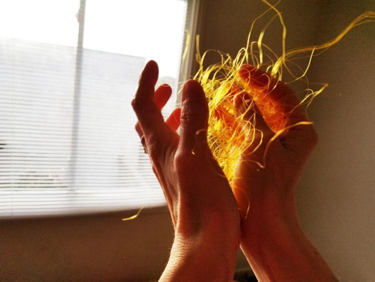 WongHo-Light-in-Hand-2_Photo_8x10