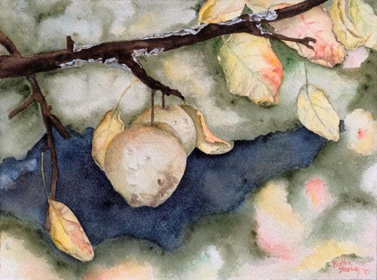 StookeyMa_Apple-Faces_WC_12x10