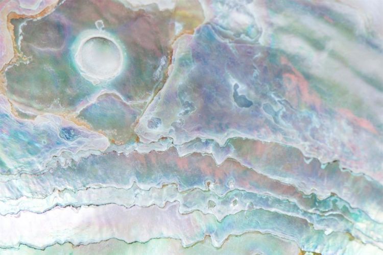 AllenLe-Earth-is-fragile-57_phot-dyeinfusedalum16x24