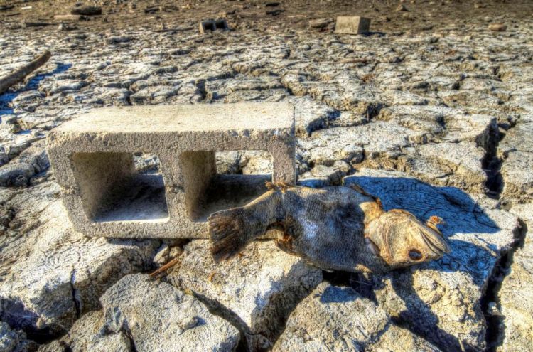 CainDe-Extreme-Drought-at-the-Stevens-Creek-Reservoir-Jan-2014-phot22x28