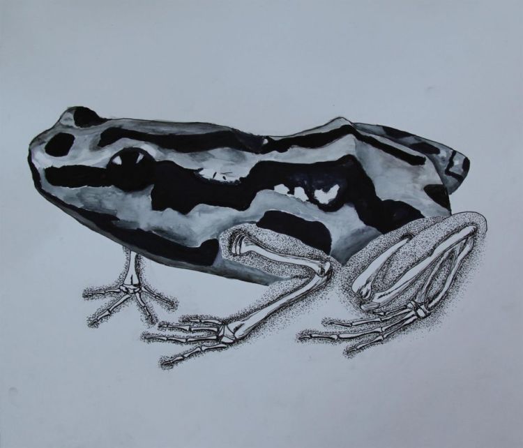 HerrickChristopher-Endangered-V2_wc14.5x114.5