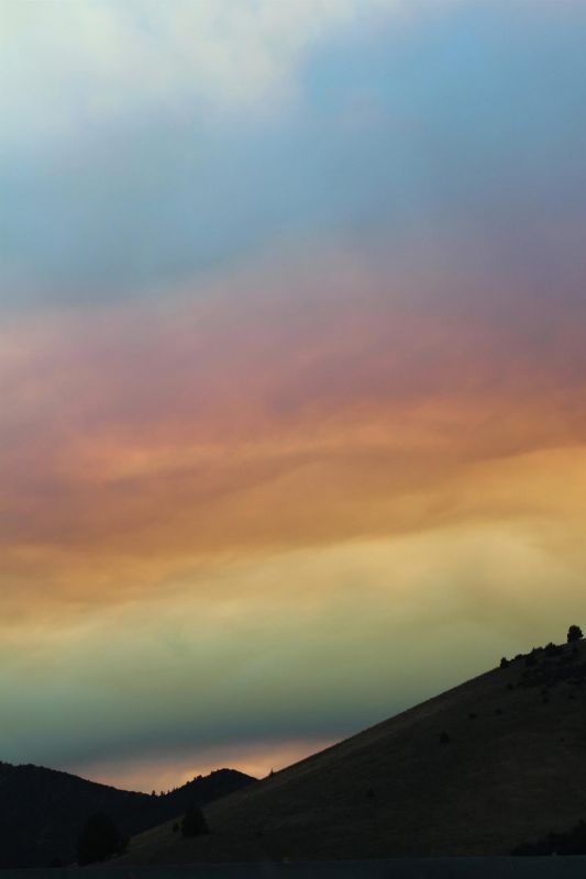 VanZandtVi-Forest-Fire-Shasta-County_pho27x21